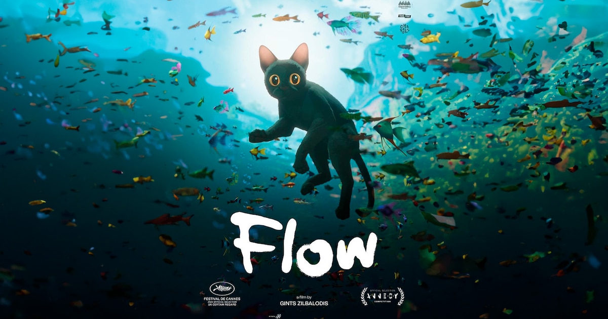Ciné Concert - Flow (Scolaire) en concert au Metronum le Mer 25 nov
